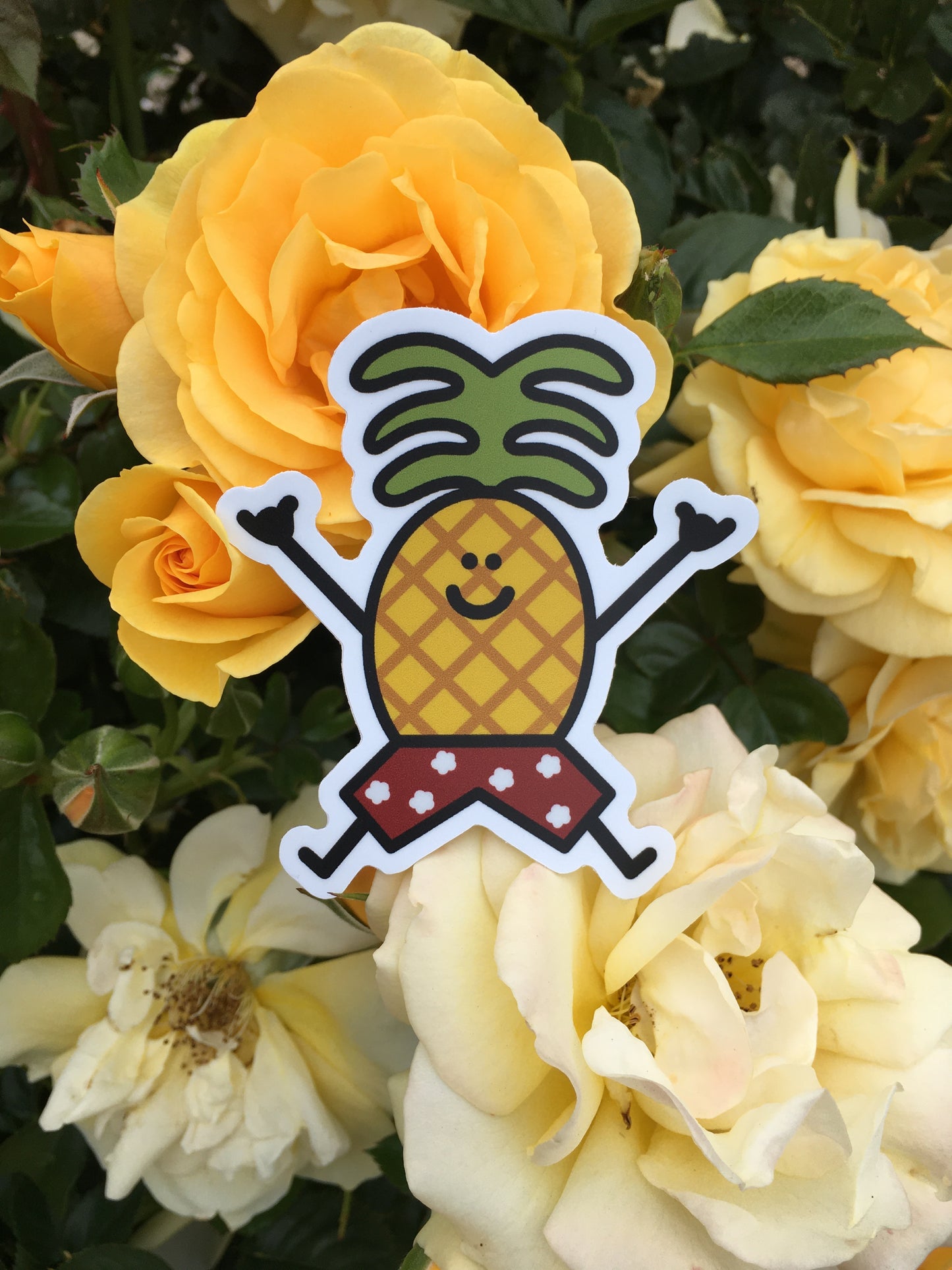Pineapple Sticker