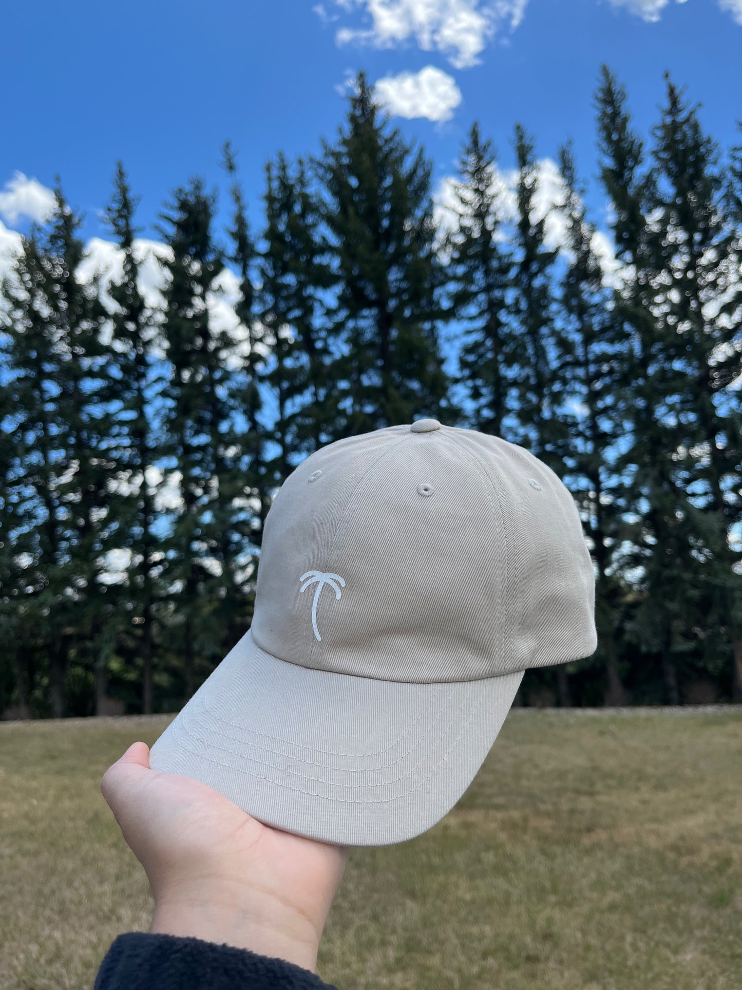 Lanilei Dad Hat