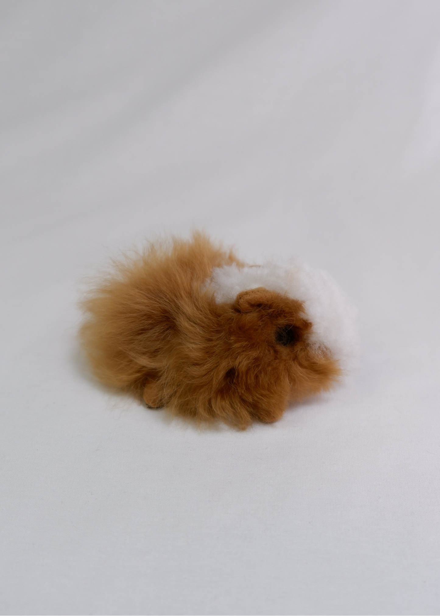 Guinea Pig Plush