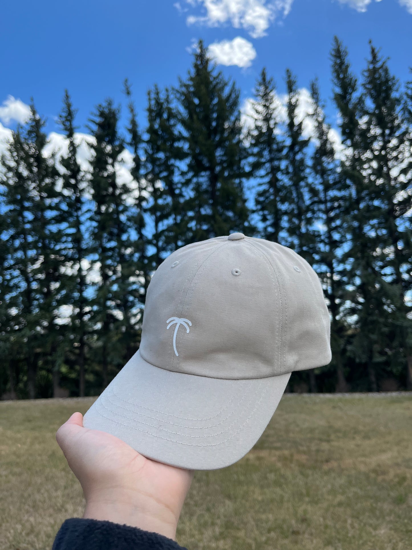 Lanilei Dad Cap